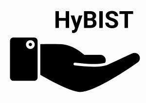 Adopt-HyBIST-to-transformm