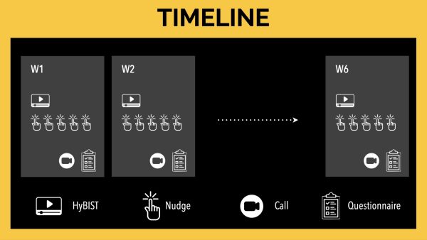 timeline